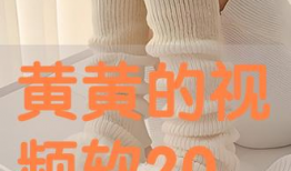 黄黄视频,揭秘生活百态，笑谈人间烟火